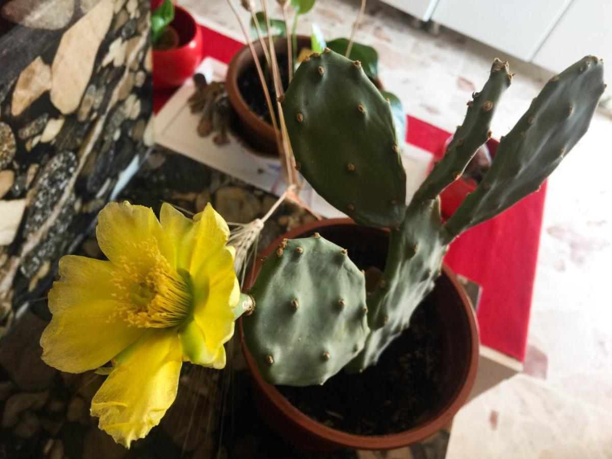 كاتانيا Trinaco B&B المظهر الخارجي الصورة